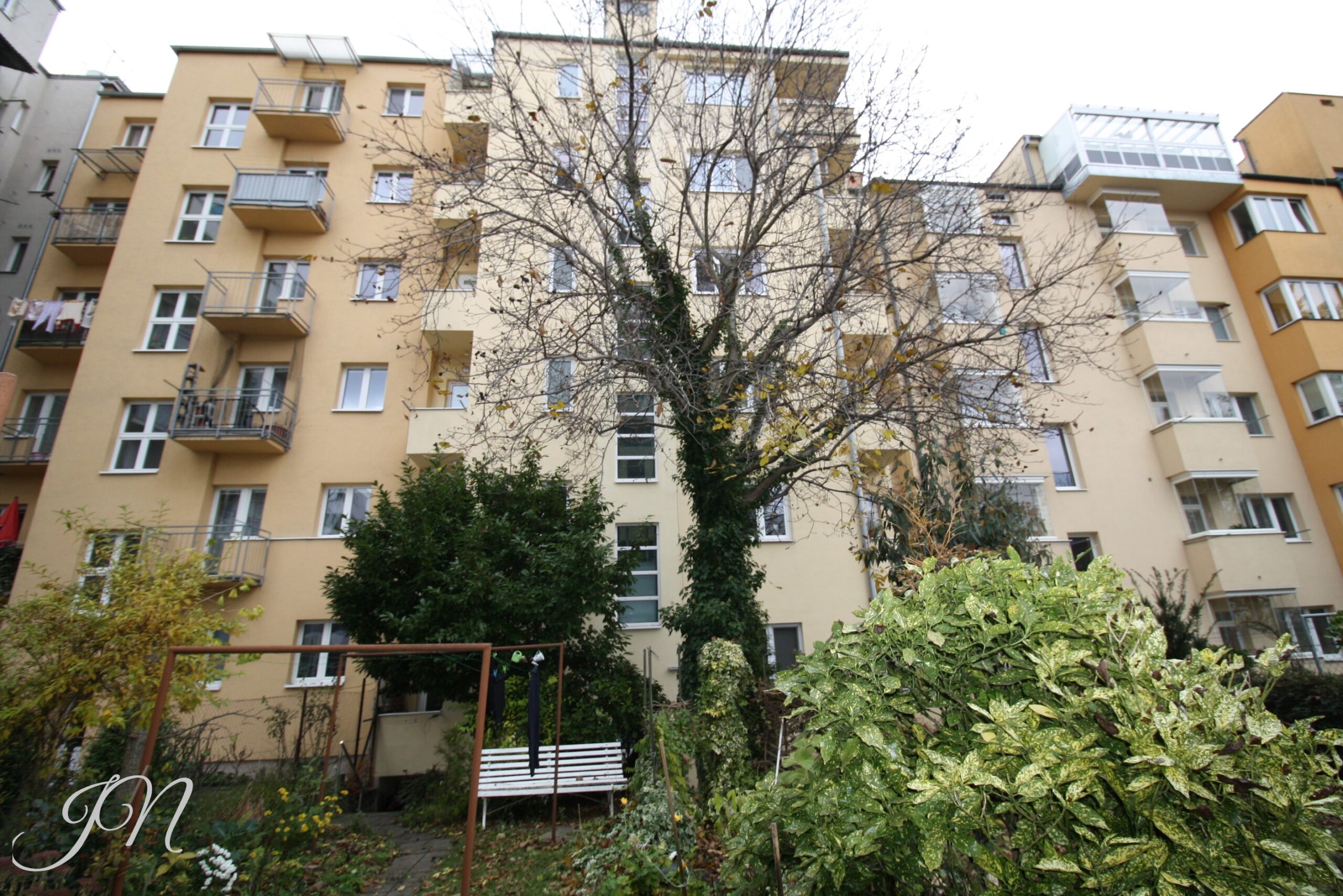 img 0080