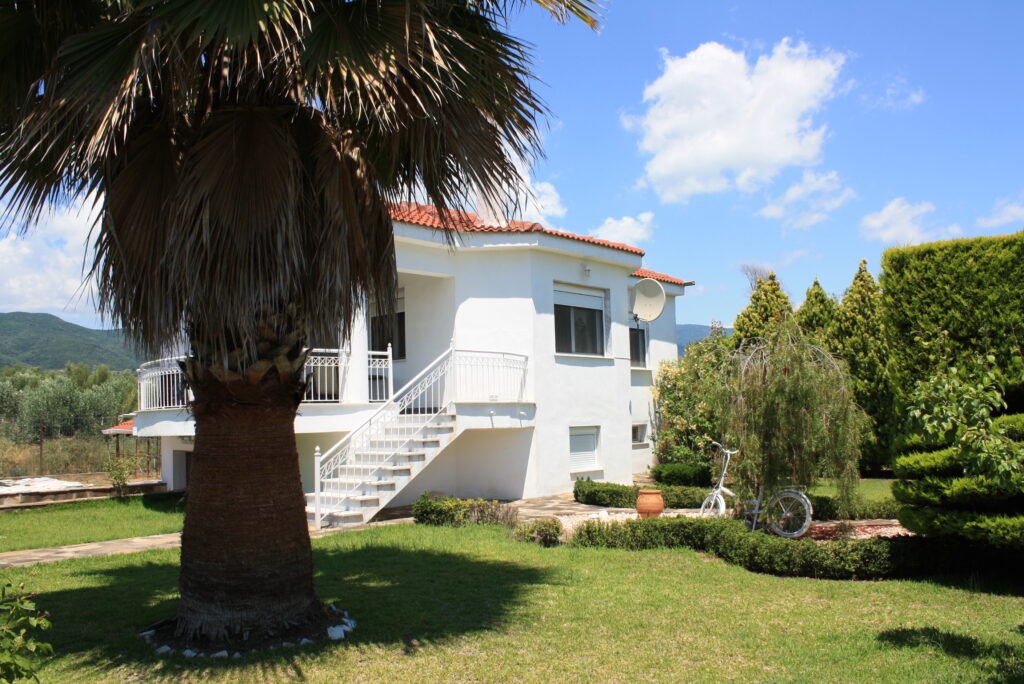 img 4806